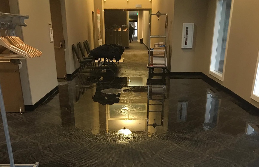 water damage restoration professionals at work in Brooklyn